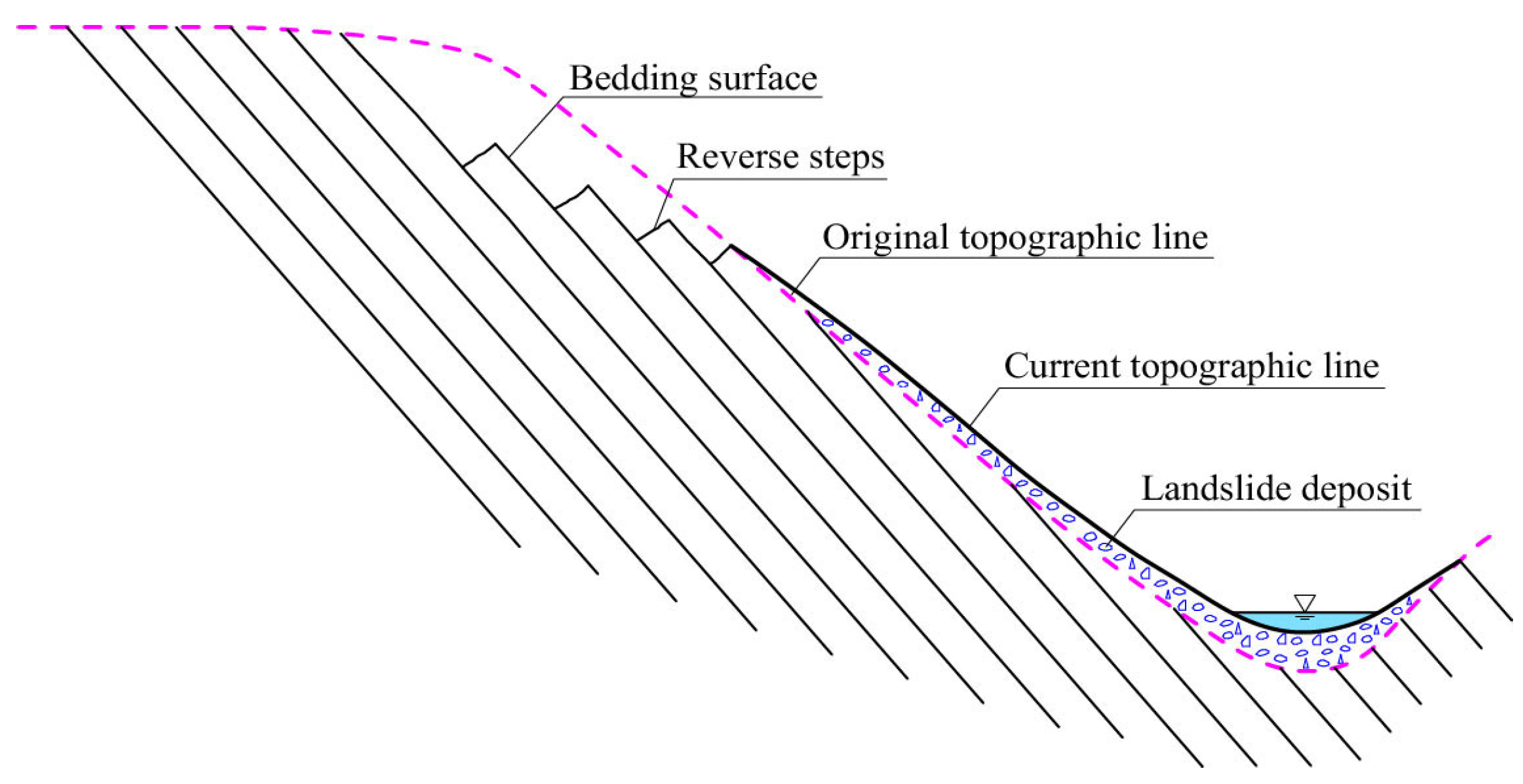 Sustainability 16 07729 g003