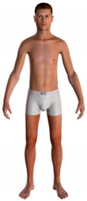 Sustainability 16 07757 i019