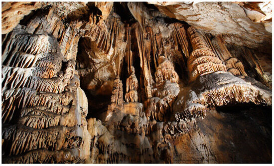 Sustainability 16 07783 g004