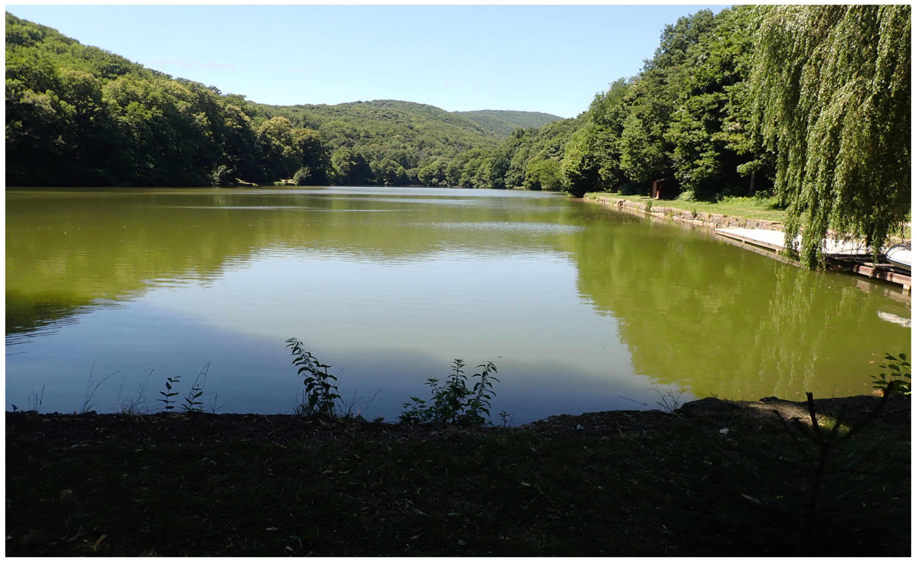 Sustainability 16 07783 g006