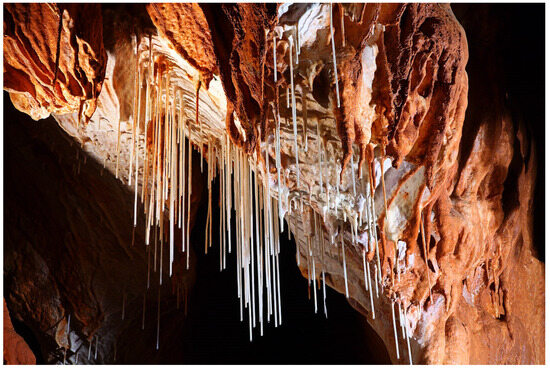 Sustainability 16 07783 g008