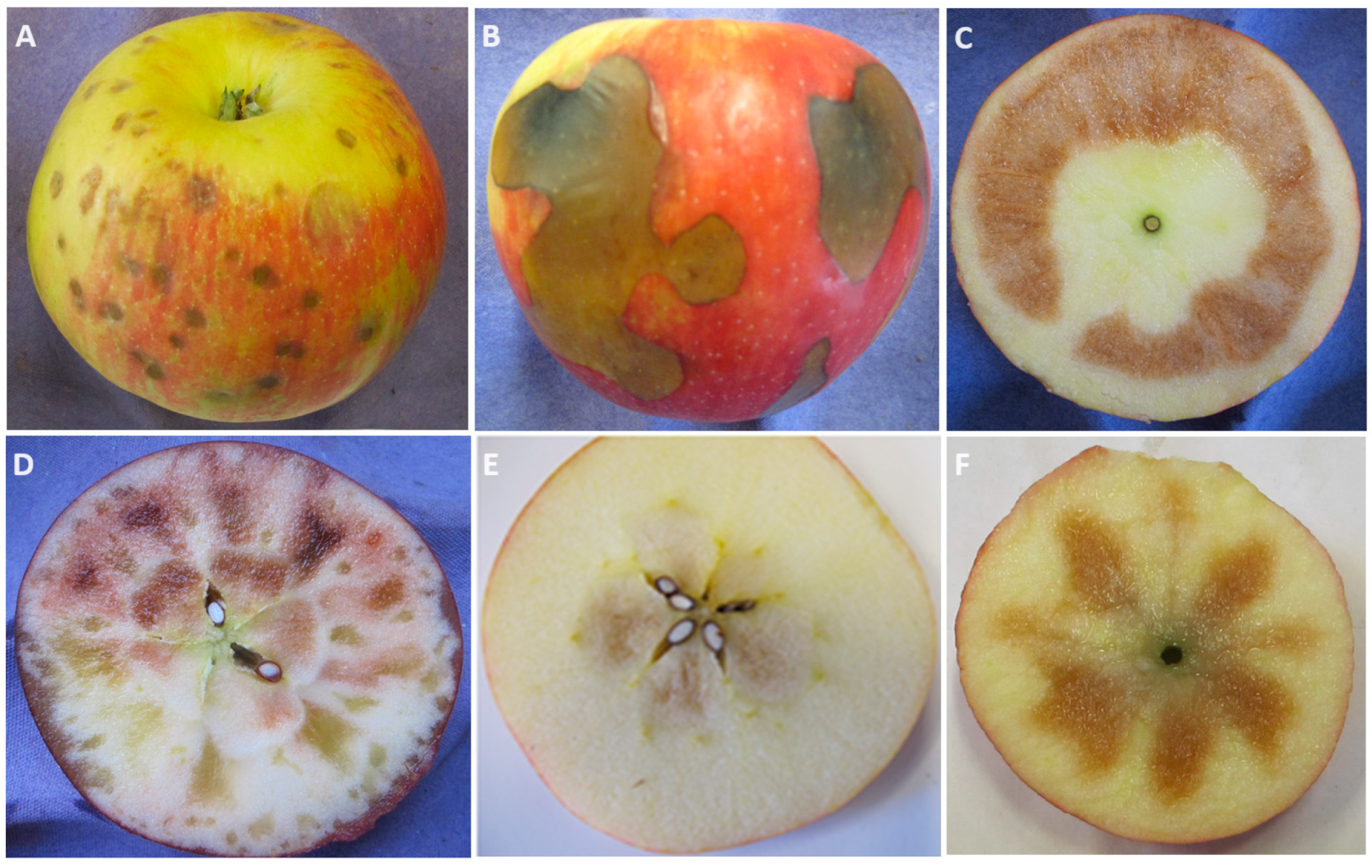 Sustainability 16 07803 g005