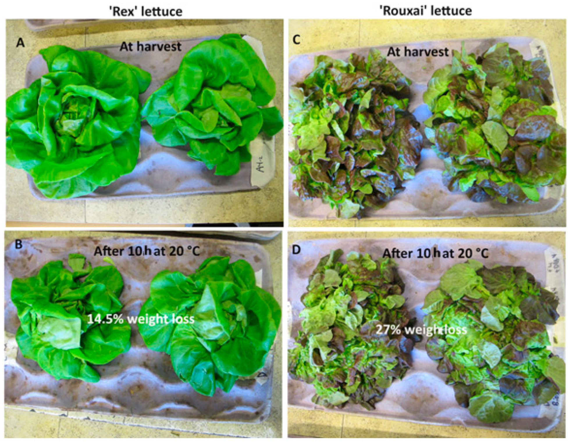Sustainability 16 07803 g006