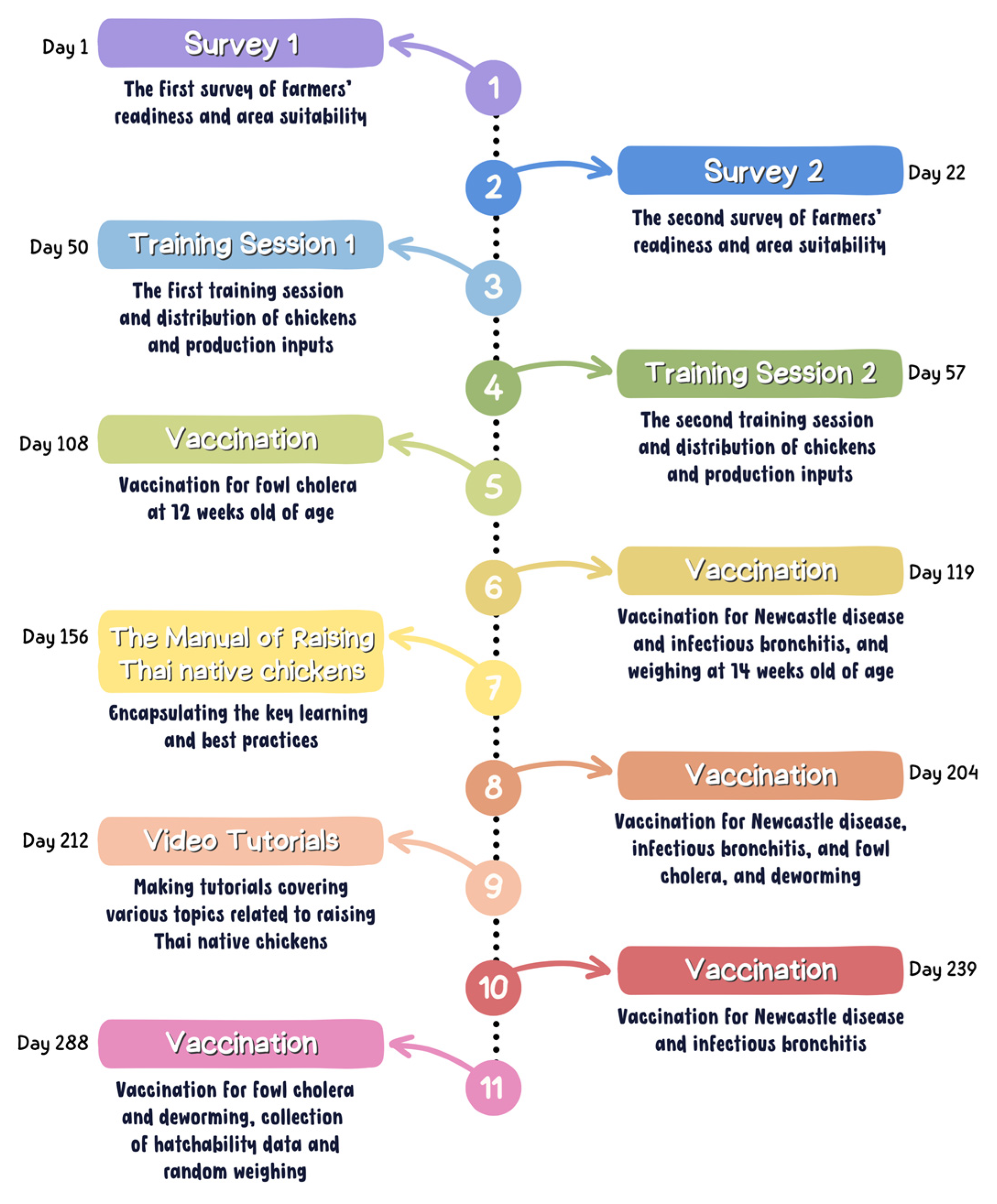 Sustainability 16 07811 g001