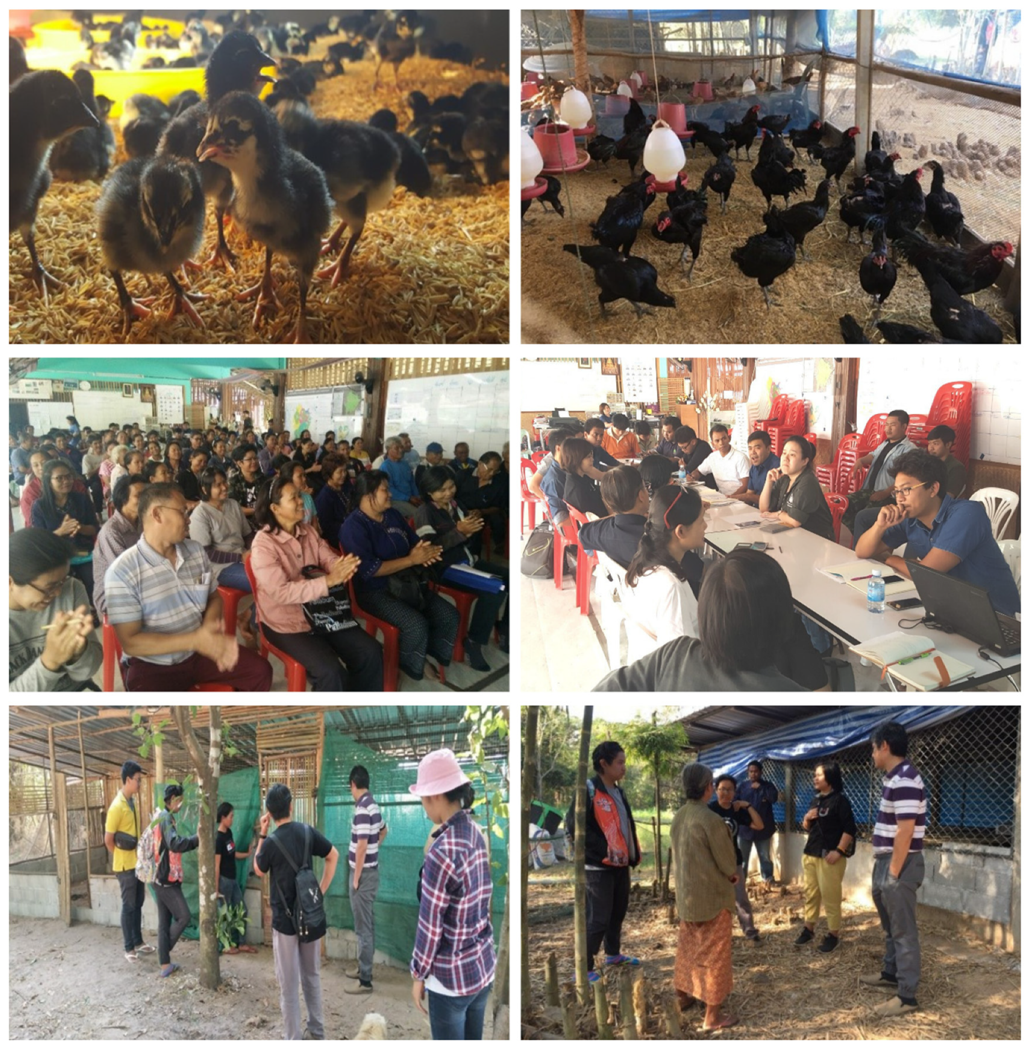 Sustainability 16 07811 g002