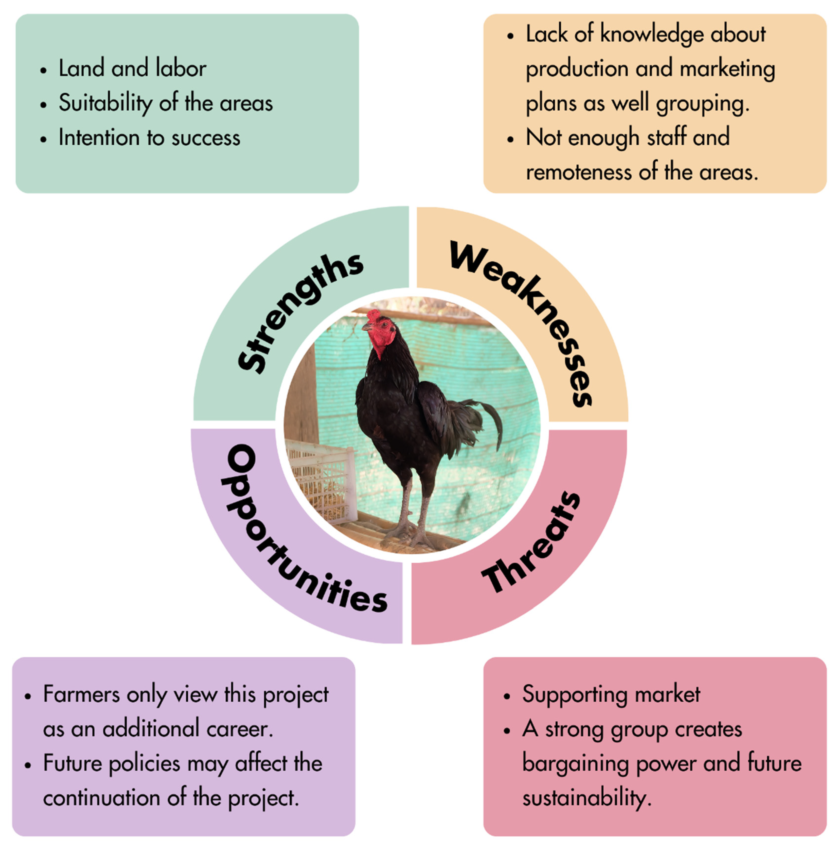 Sustainability 16 07811 g008