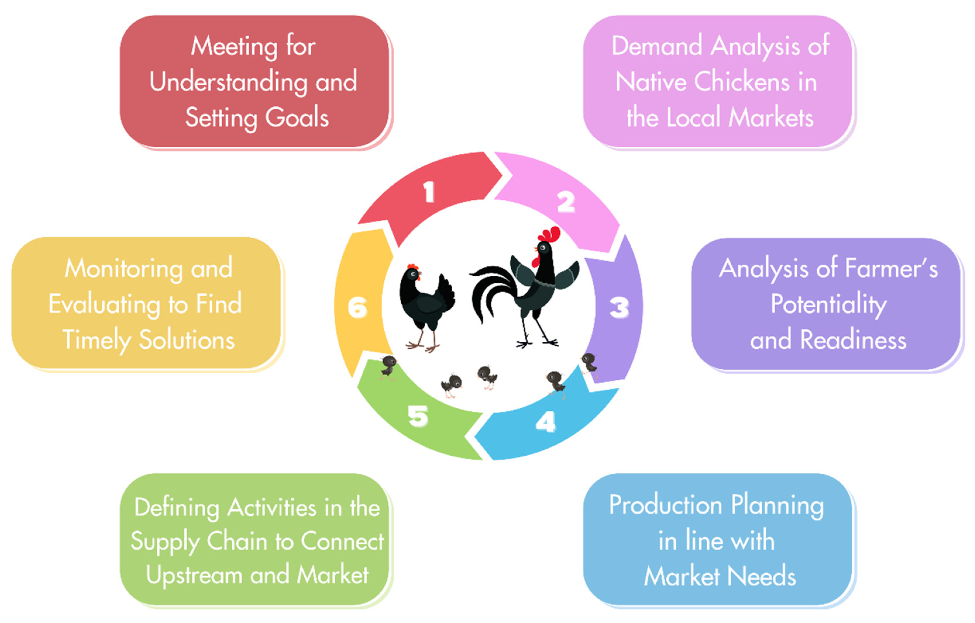 Sustainability 16 07811 g010