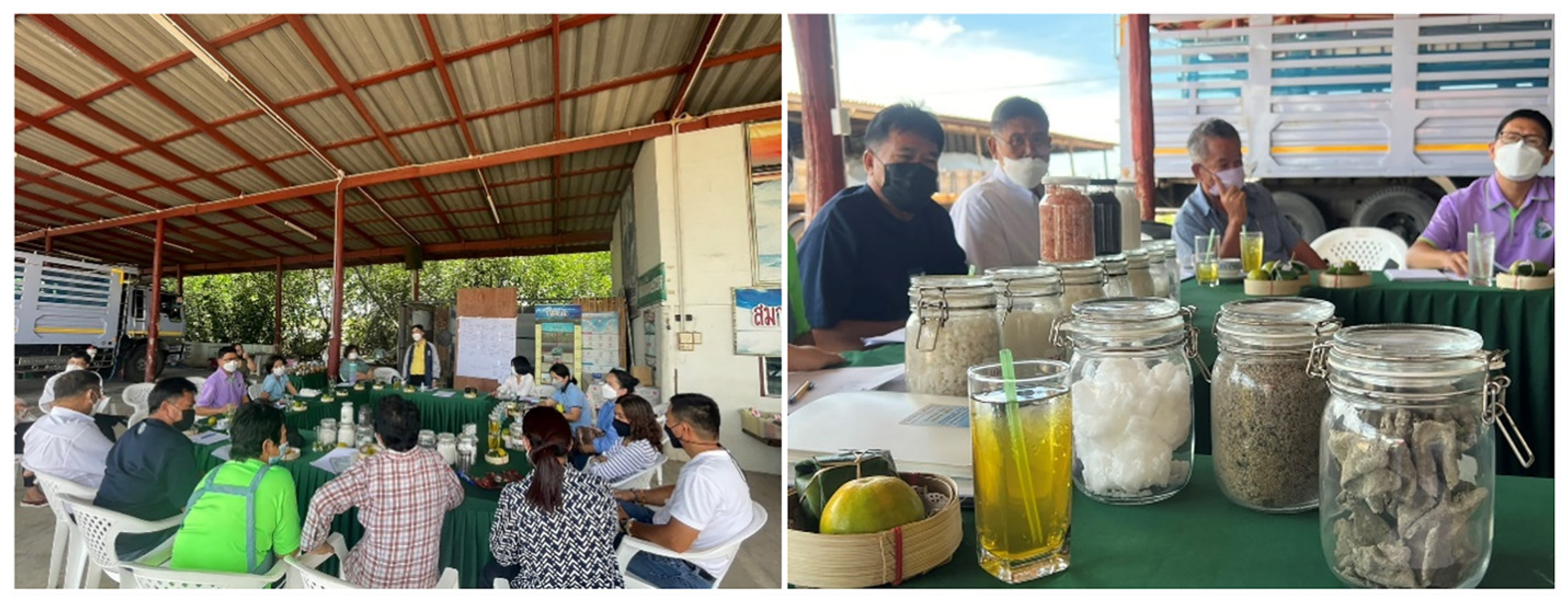 Sustainability 16 07864 g002