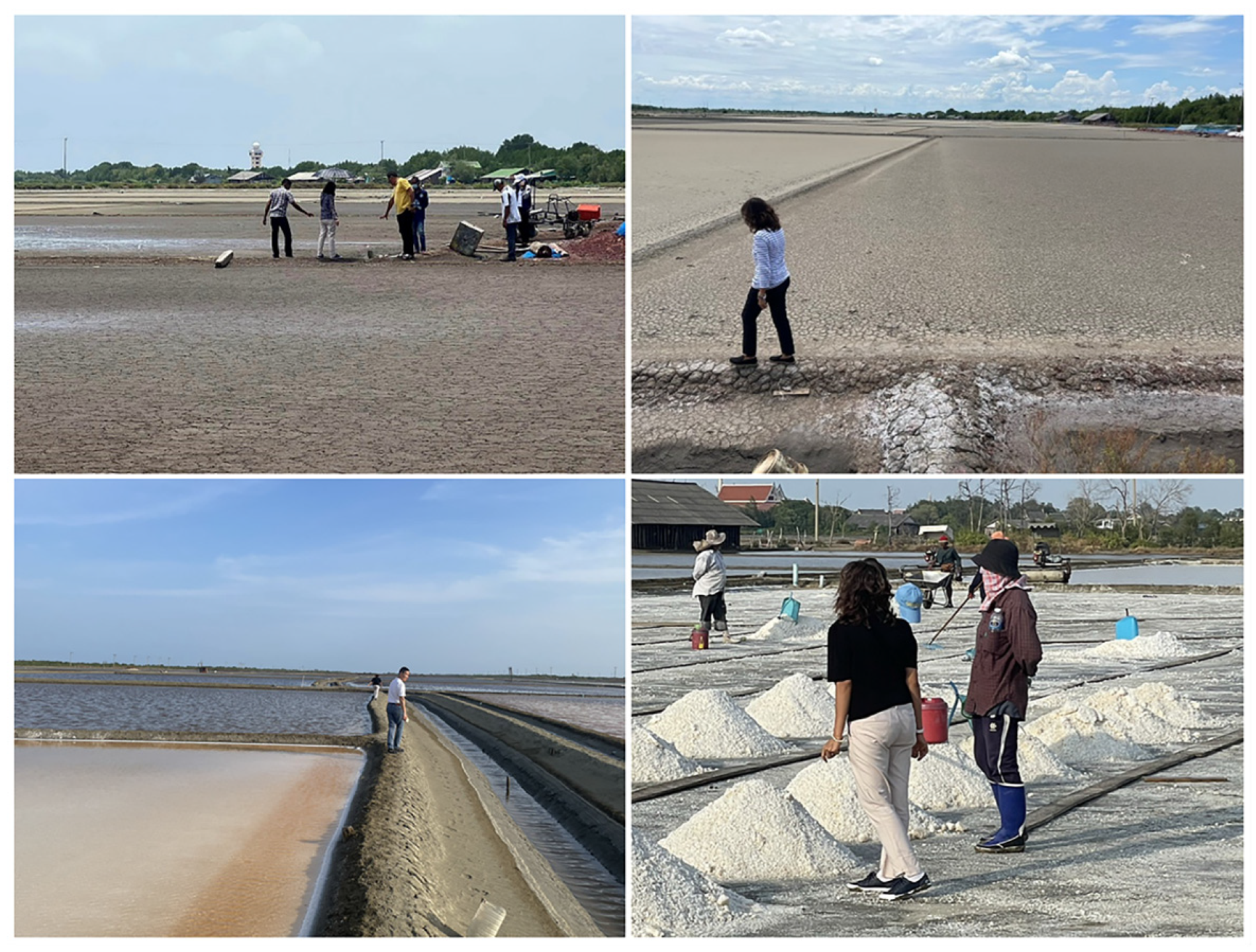 Sustainability 16 07864 g003