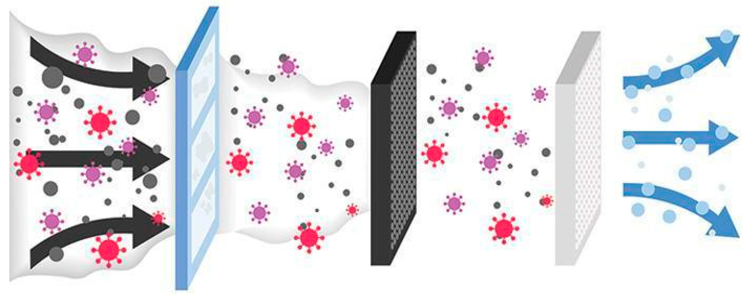 Sustainability 16 07869 g001