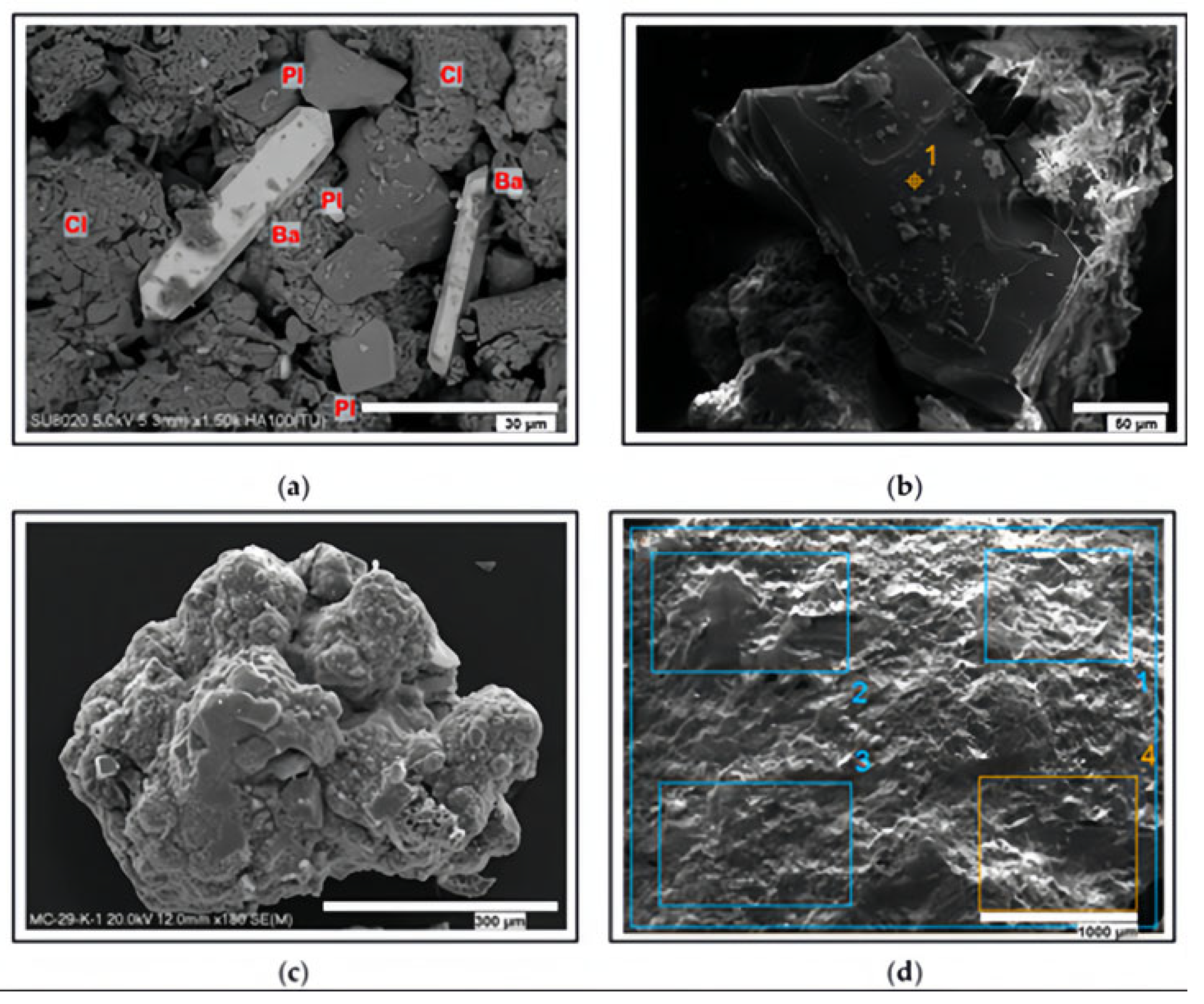 Sustainability 16 07872 g004