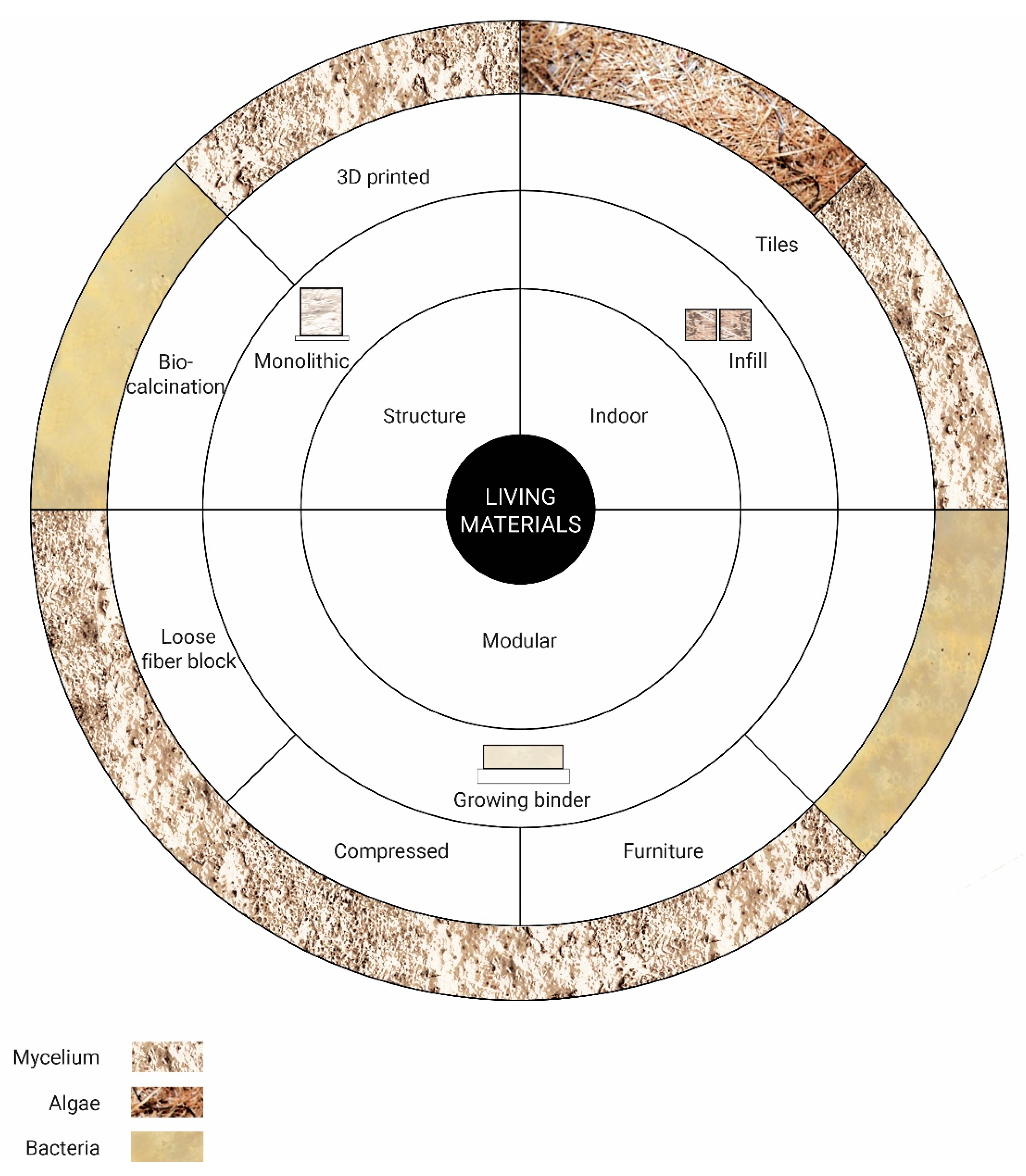 Sustainability 16 07926 g003