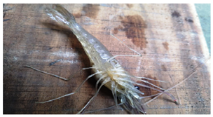 Sustainability 16 07933 i009