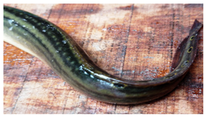 Sustainability 16 07933 i012