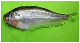 Sustainability 16 07933 i013