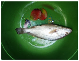 Sustainability 16 07933 i018