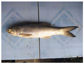 Sustainability 16 07933 i025