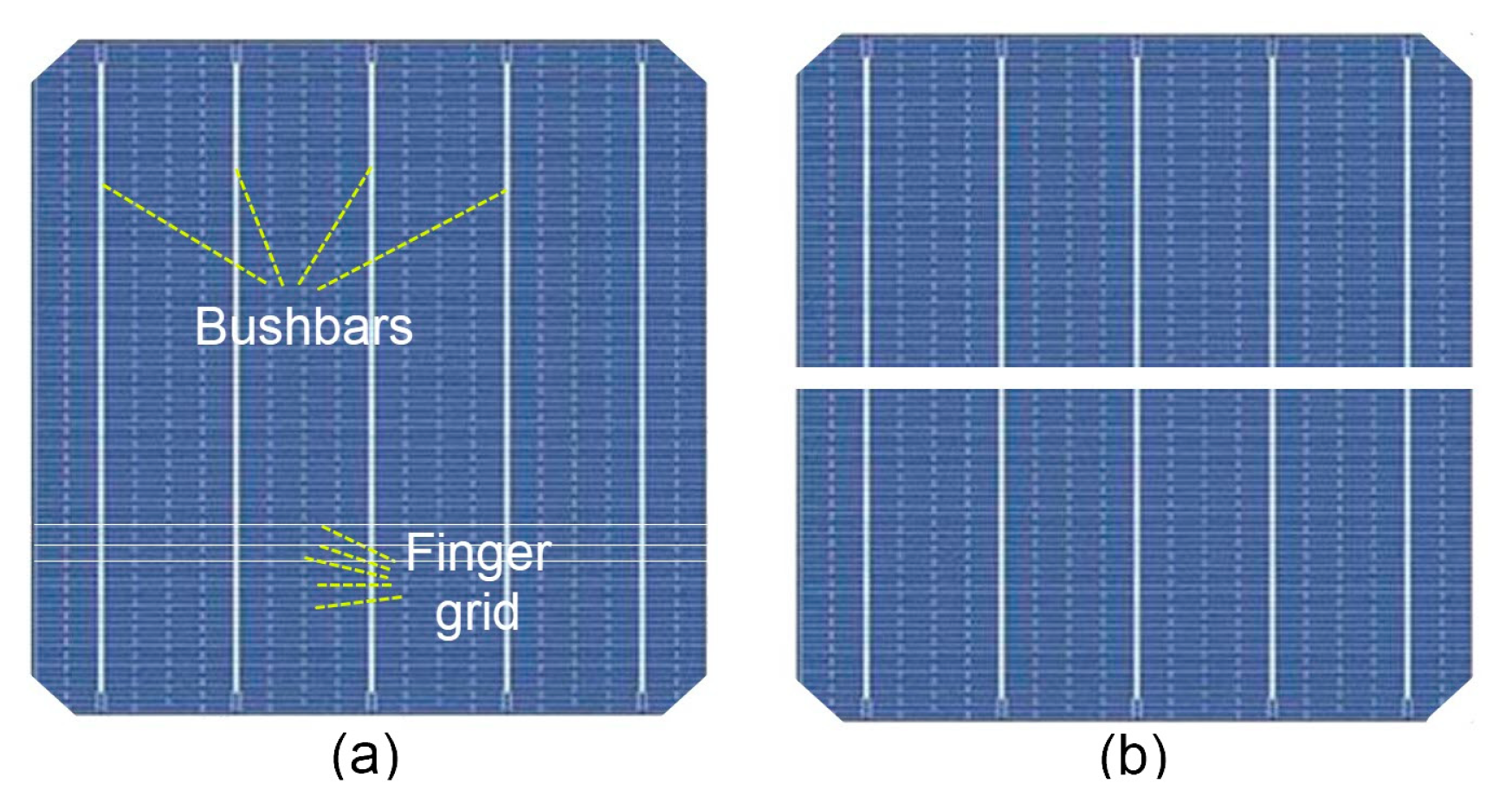 Sustainability 16 07962 g003