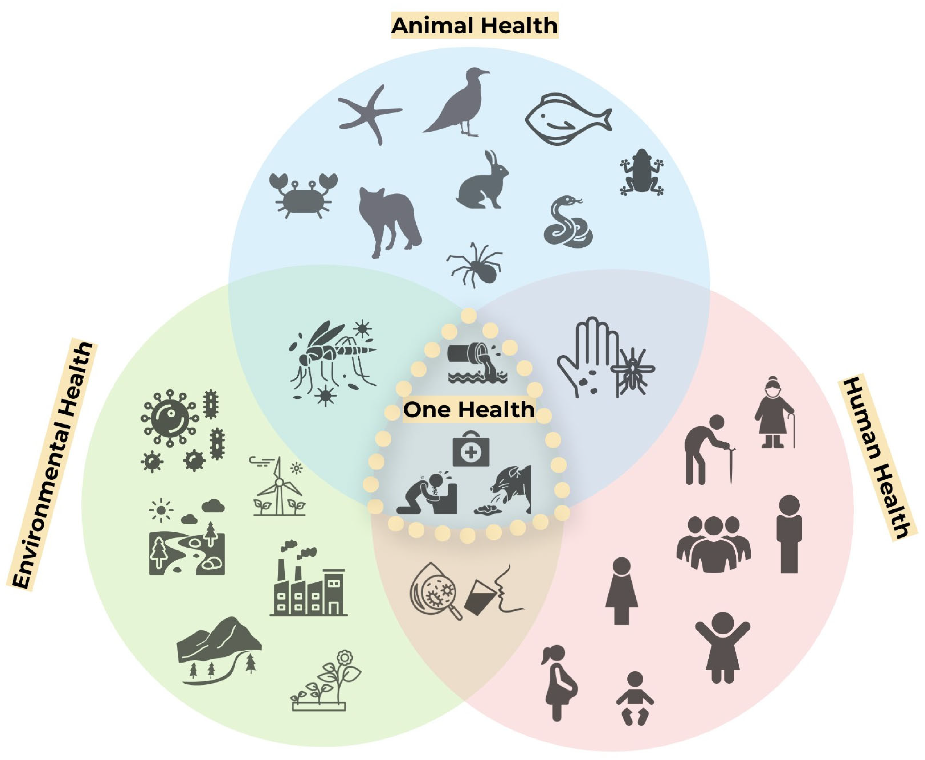 Sustainability 16 07967 g001