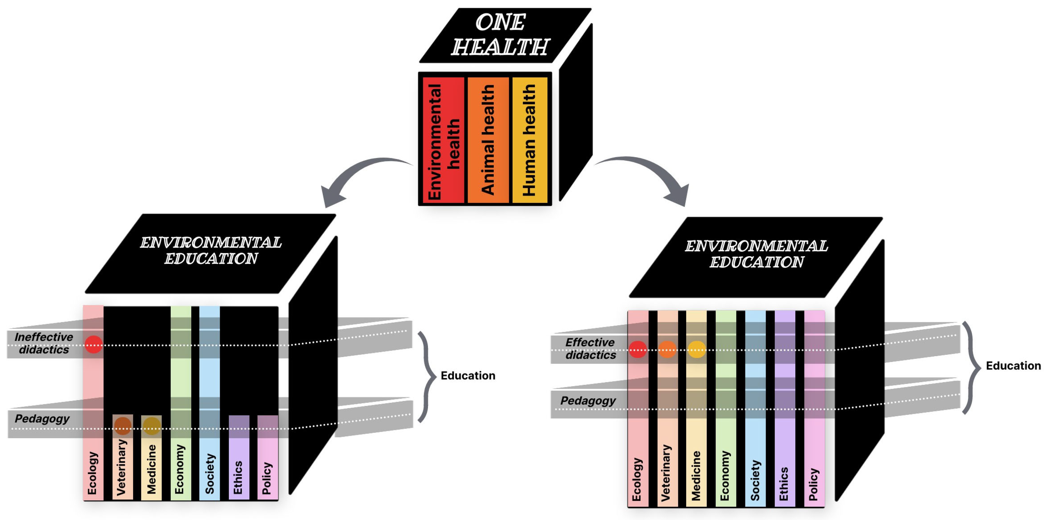 Sustainability 16 07967 g003