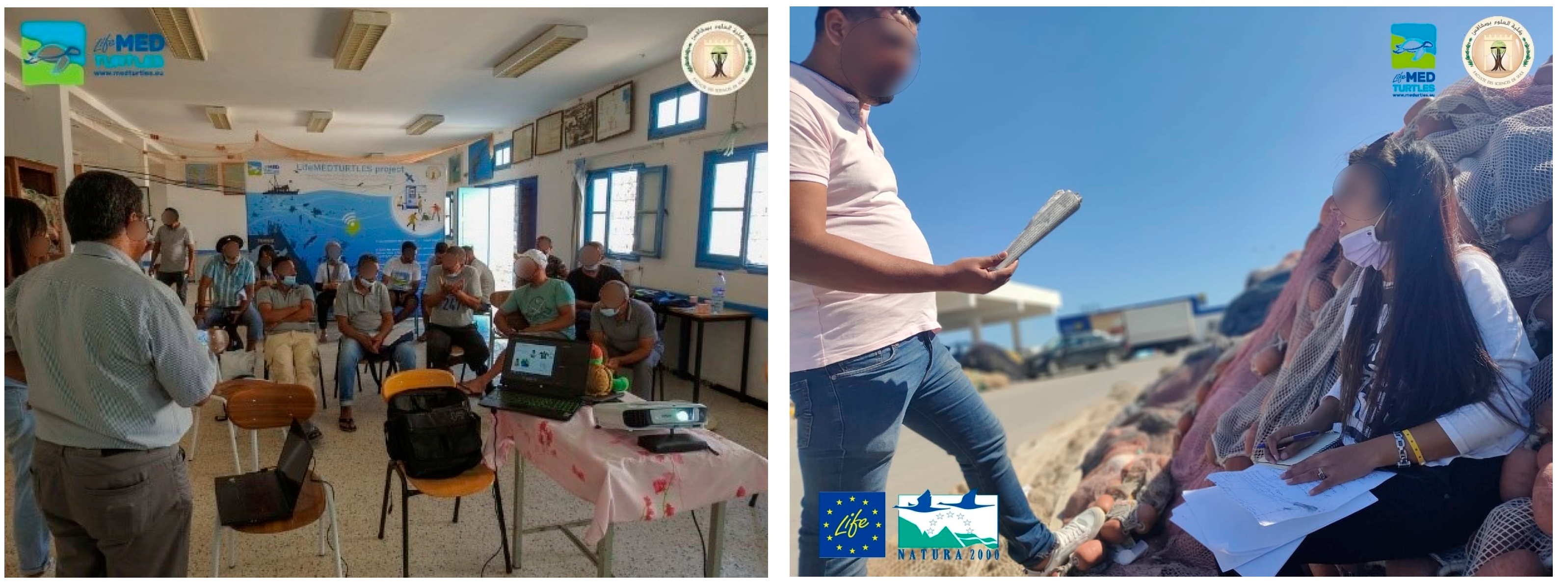 Sustainability 16 08003 g002