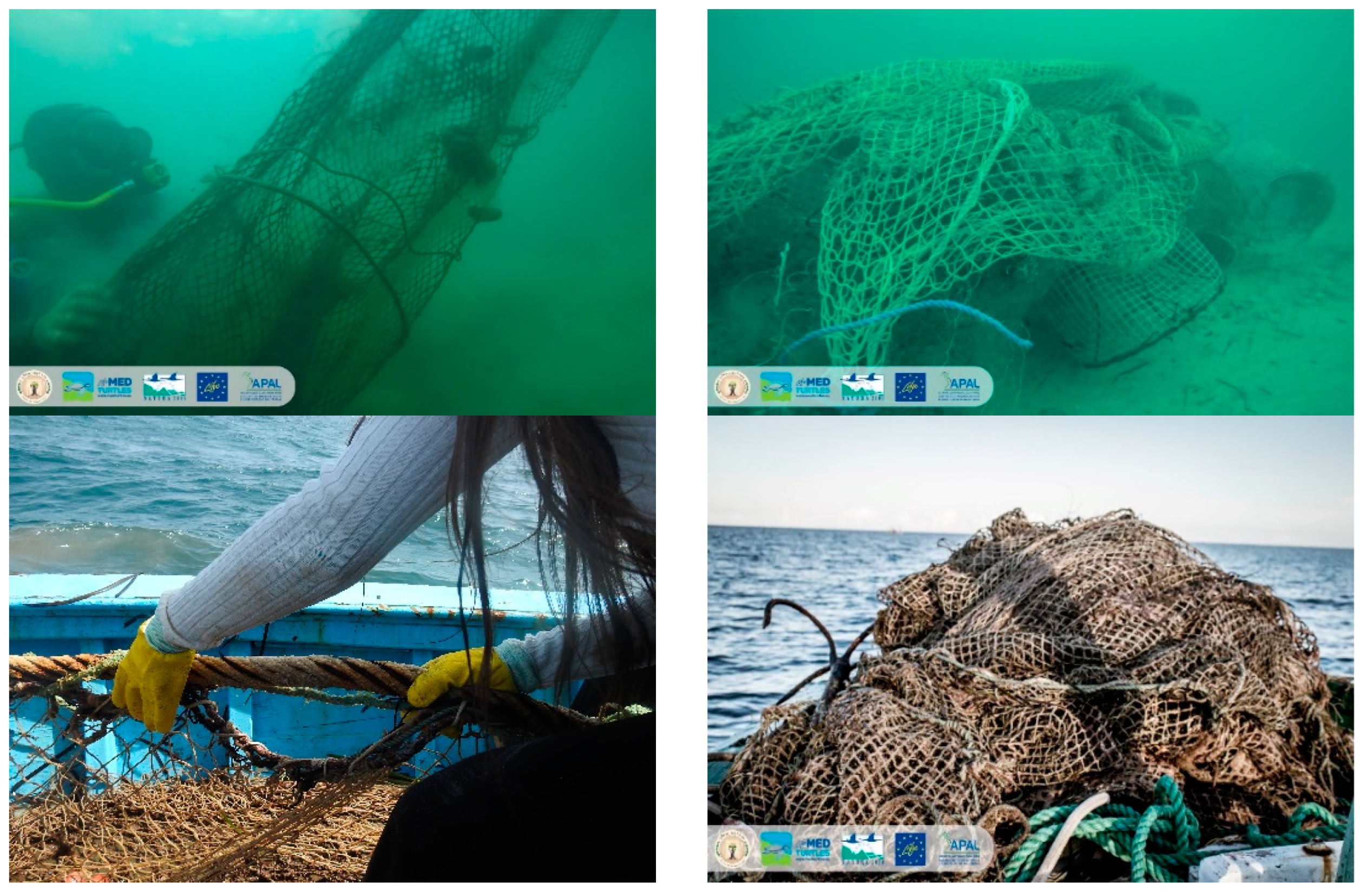 Sustainability 16 08003 g003a