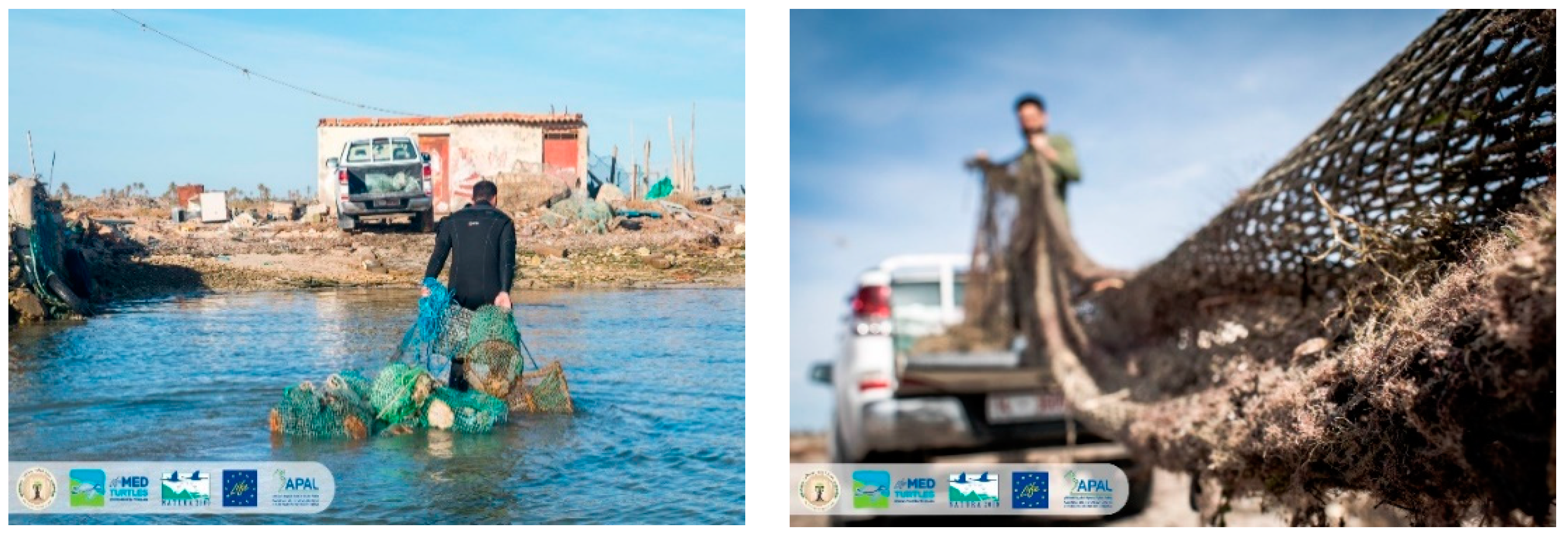 Sustainability 16 08003 g003b