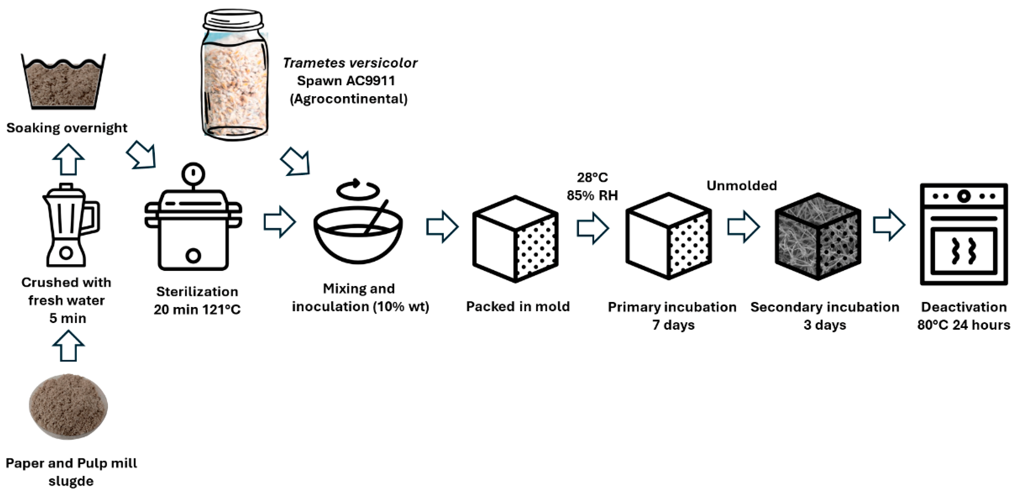 Sustainability 16 08034 g001