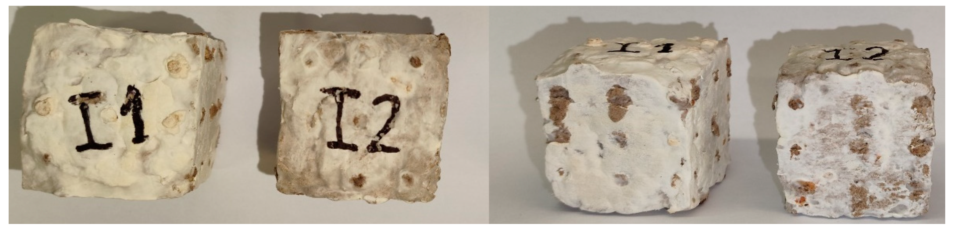 Sustainability 16 08034 g002