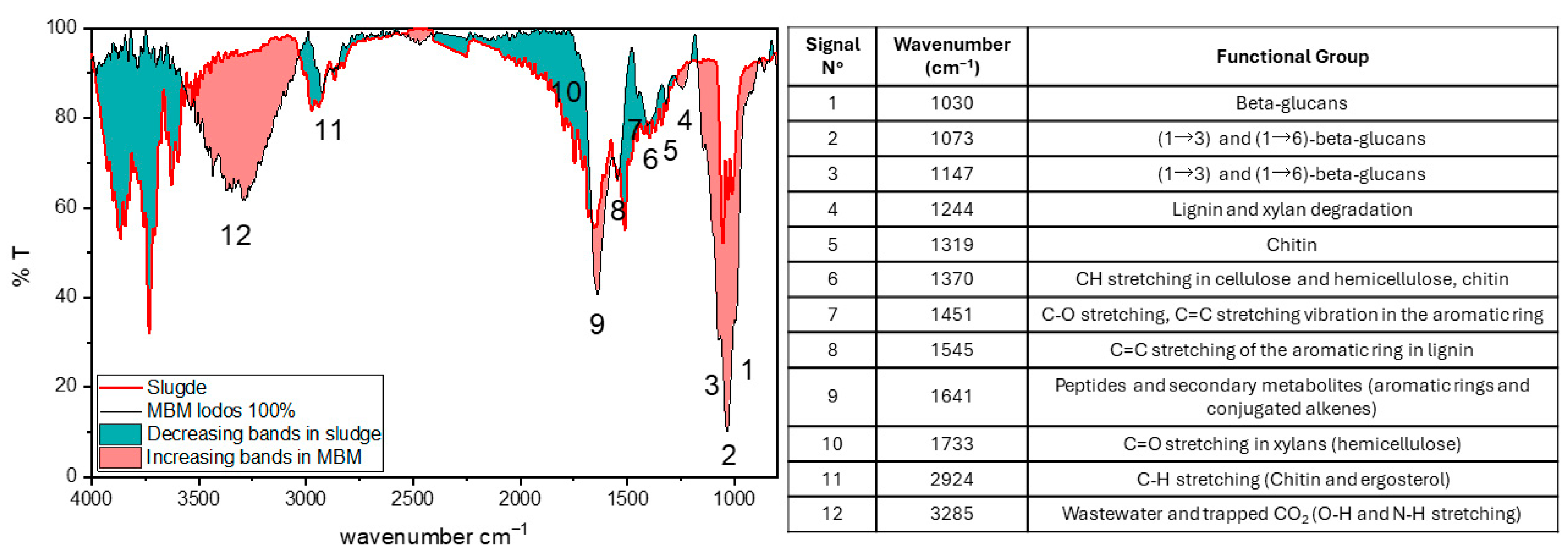 Sustainability 16 08034 g008