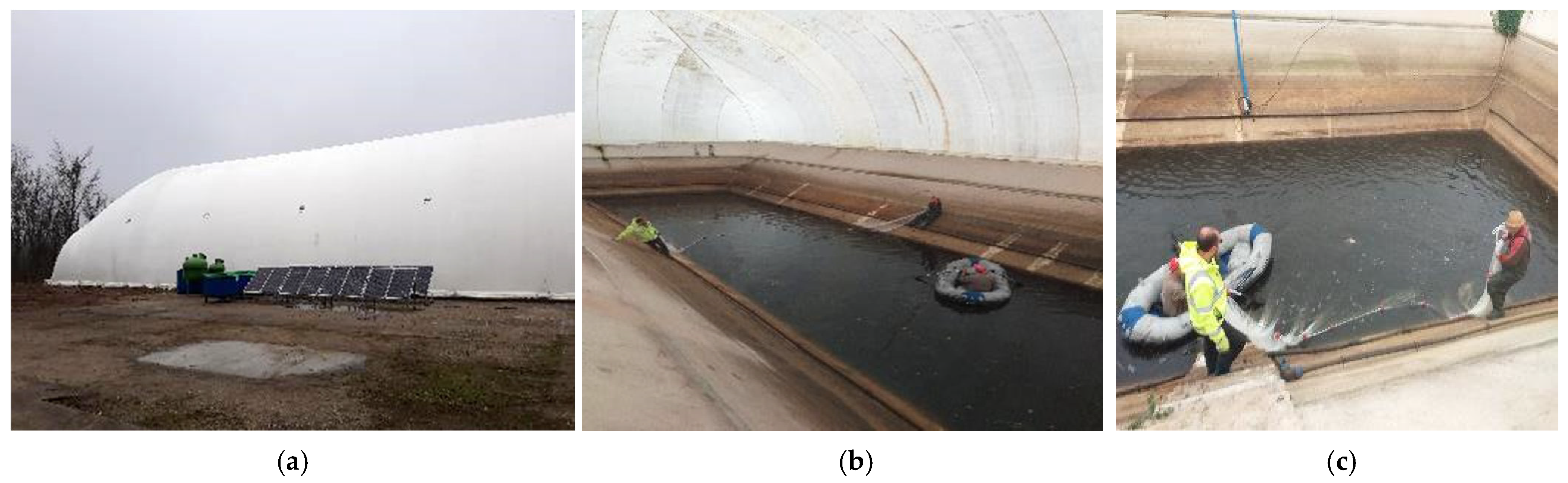 Sustainability 16 08055 g003