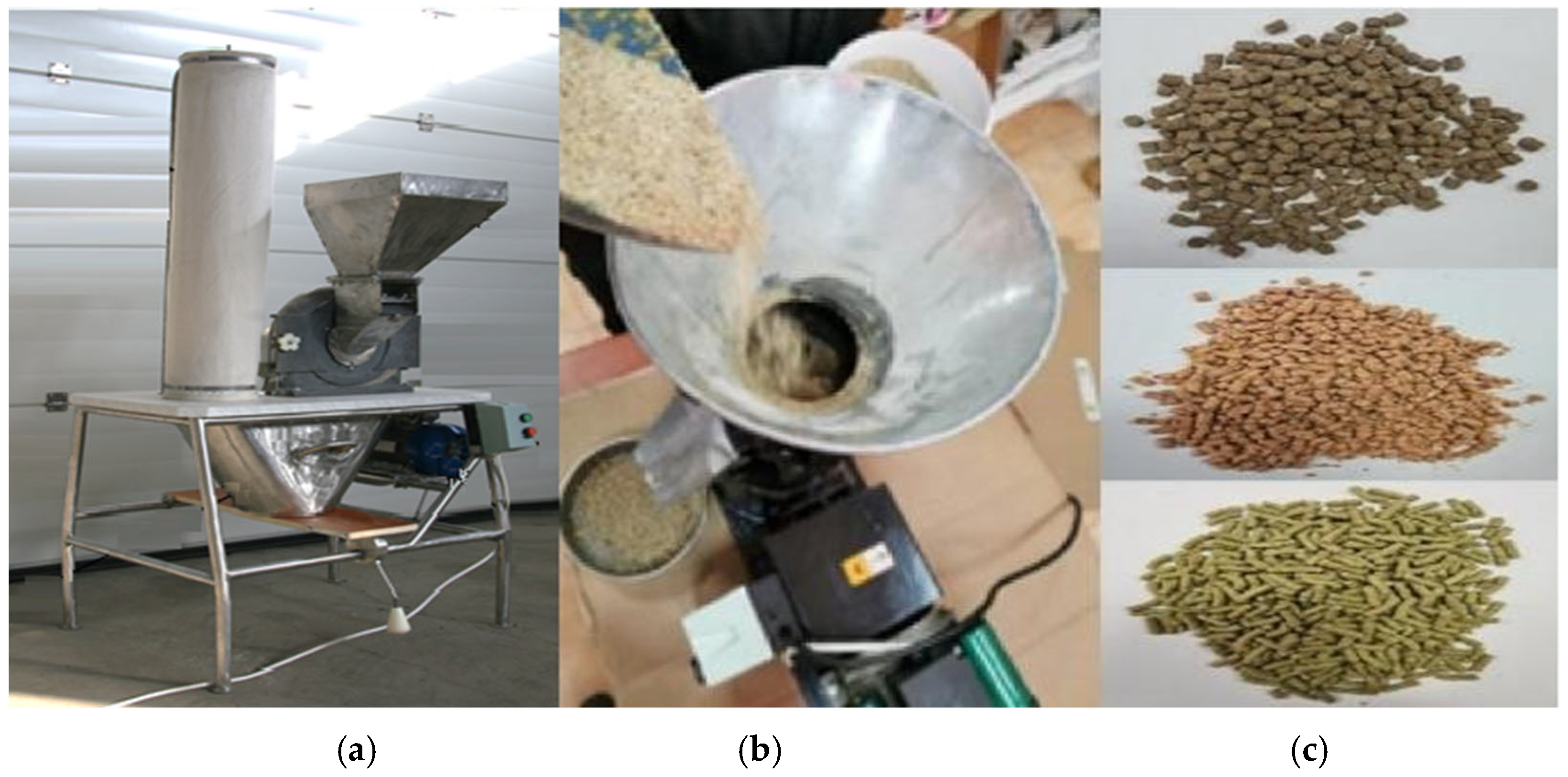 Sustainability 16 08055 g006