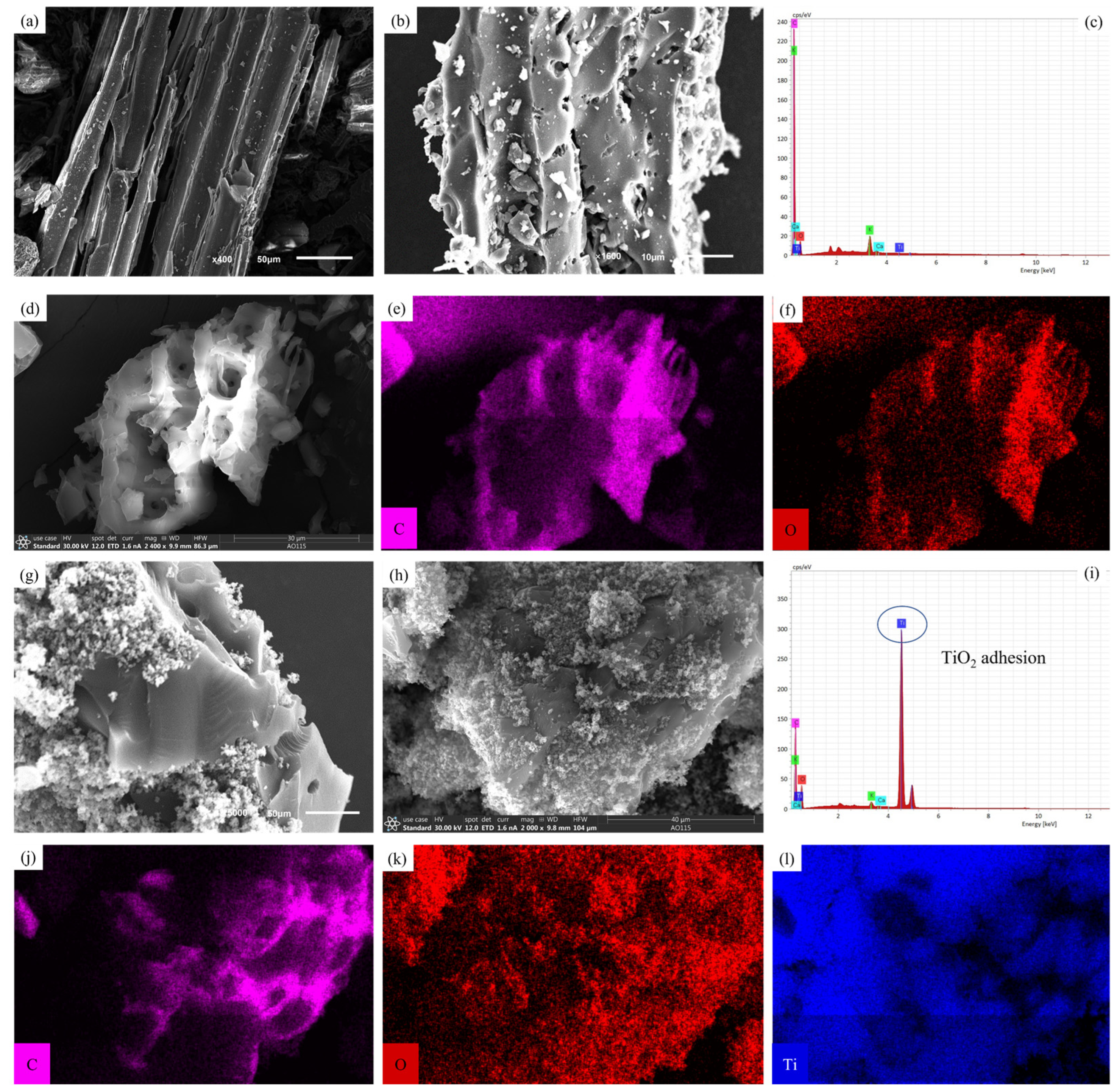 Sustainability 16 08056 g001