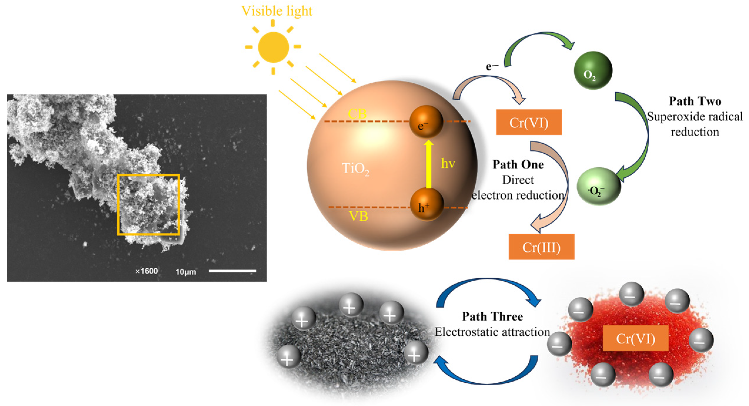 Sustainability 16 08056 g009