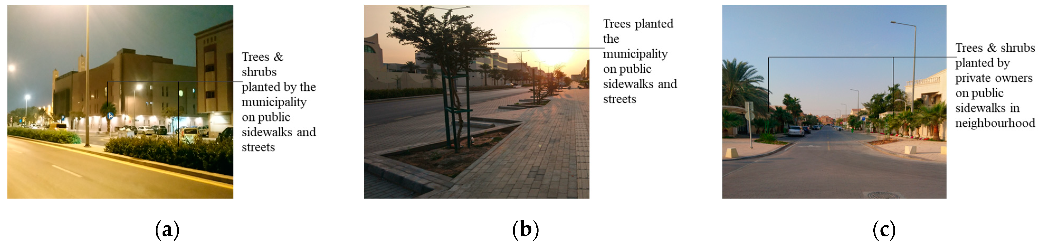 Sustainability 16 08073 g014 Sustainability 16 08073 g014