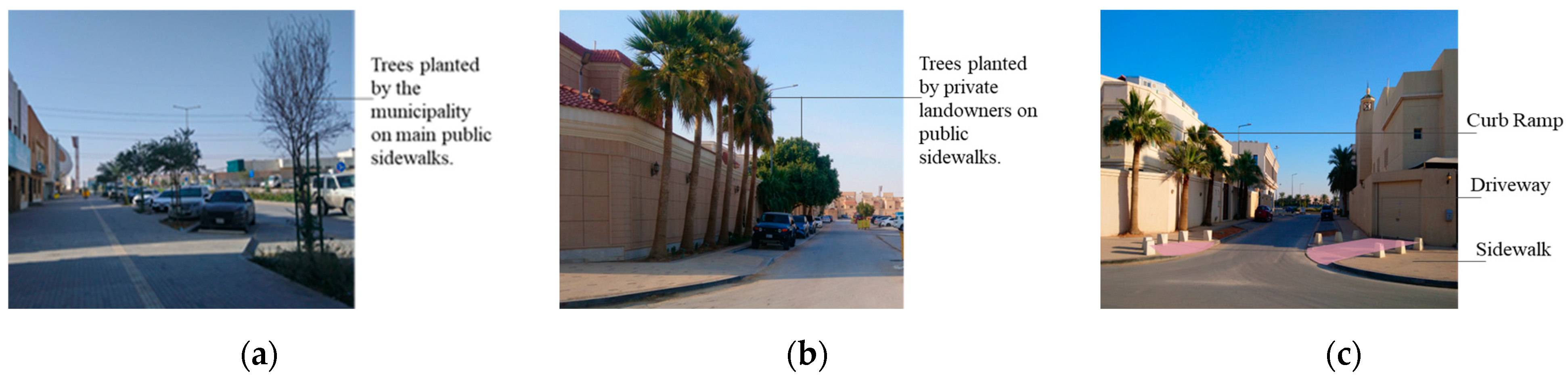 Sustainability 16 08073 g017 Sustainability 16 08073 g017