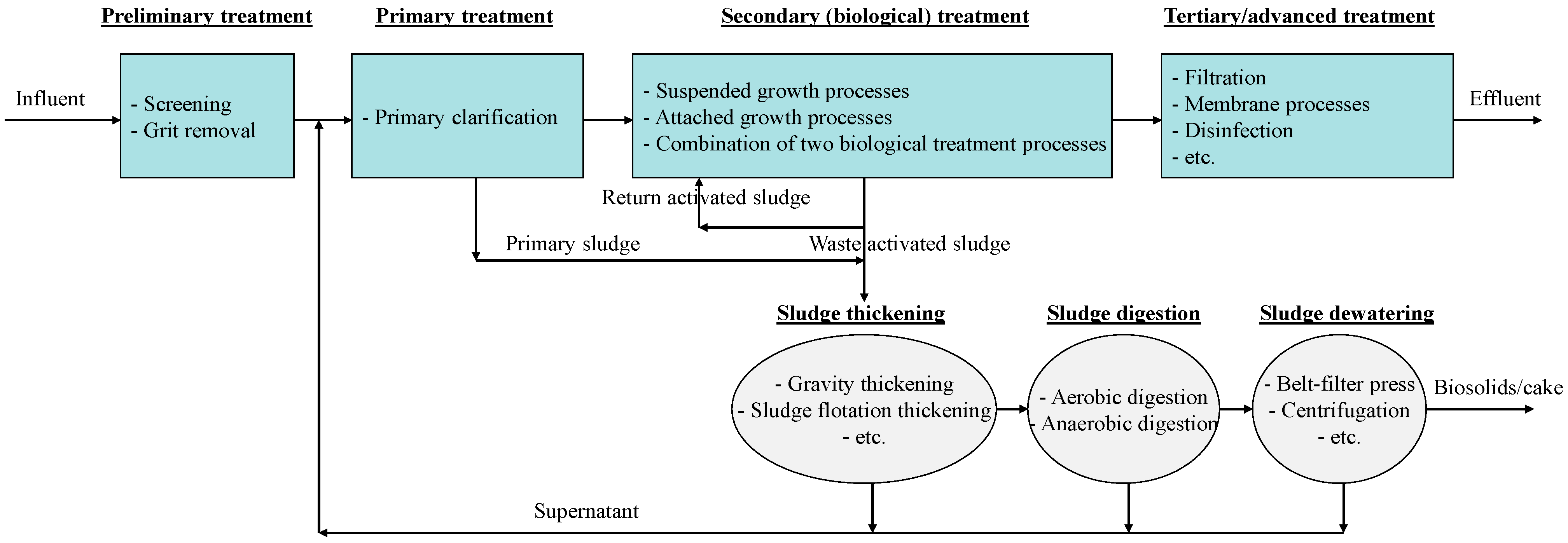 Sustainability 16 08109 g001