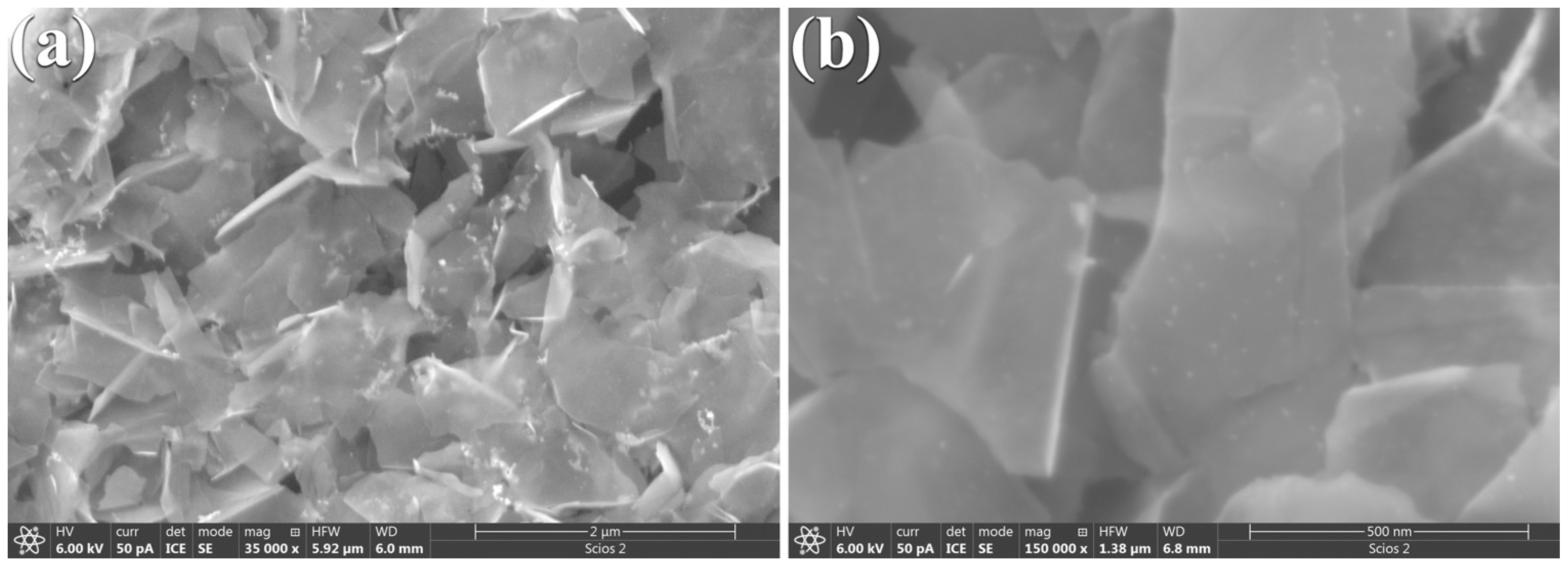 Sustainability 16 08189 g004