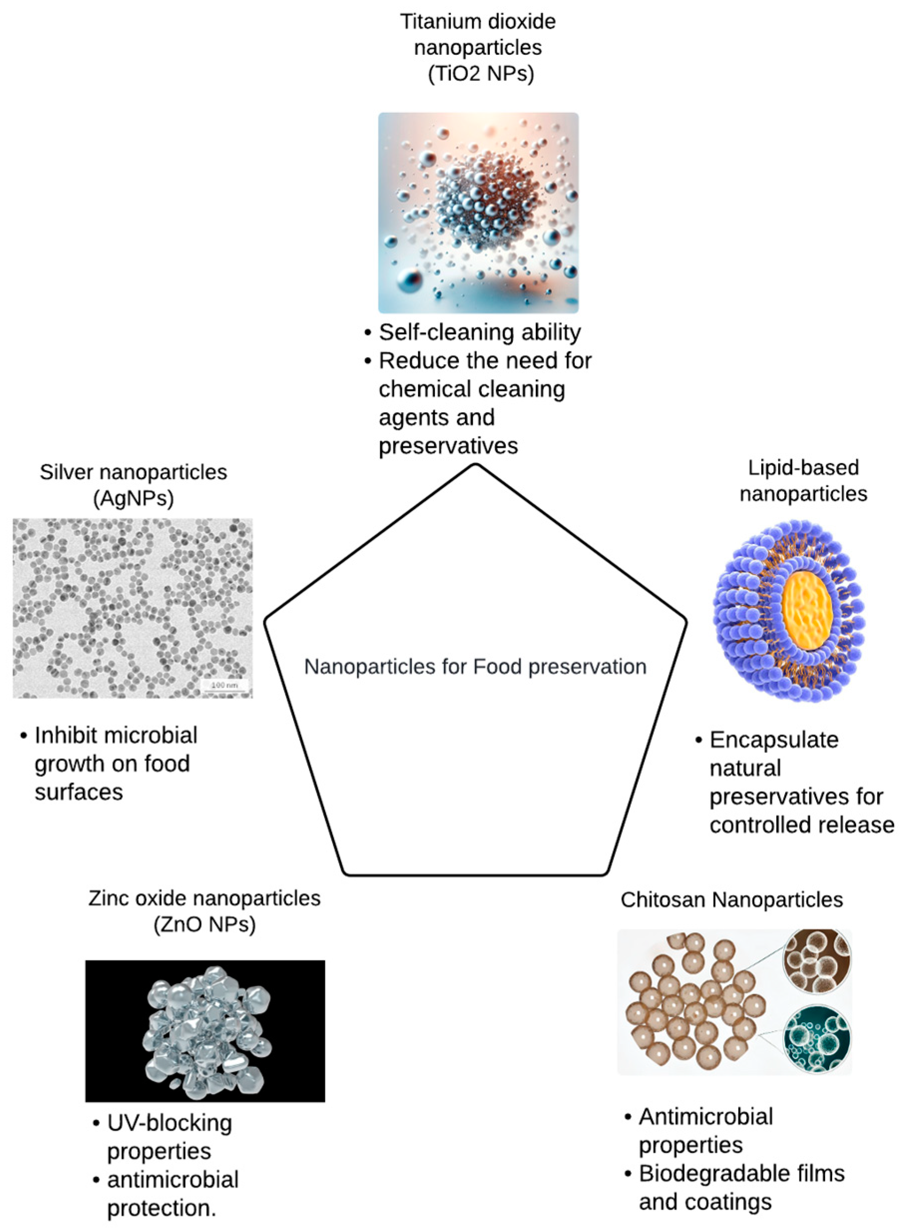 Sustainability 16 08223 g003