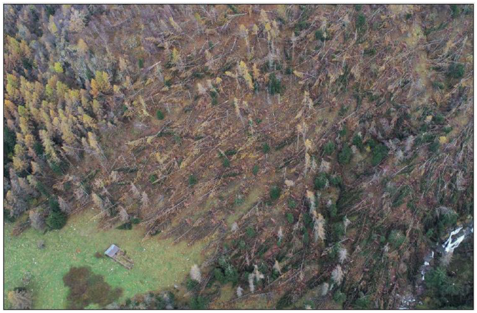 Sustainability 16 08418 g002