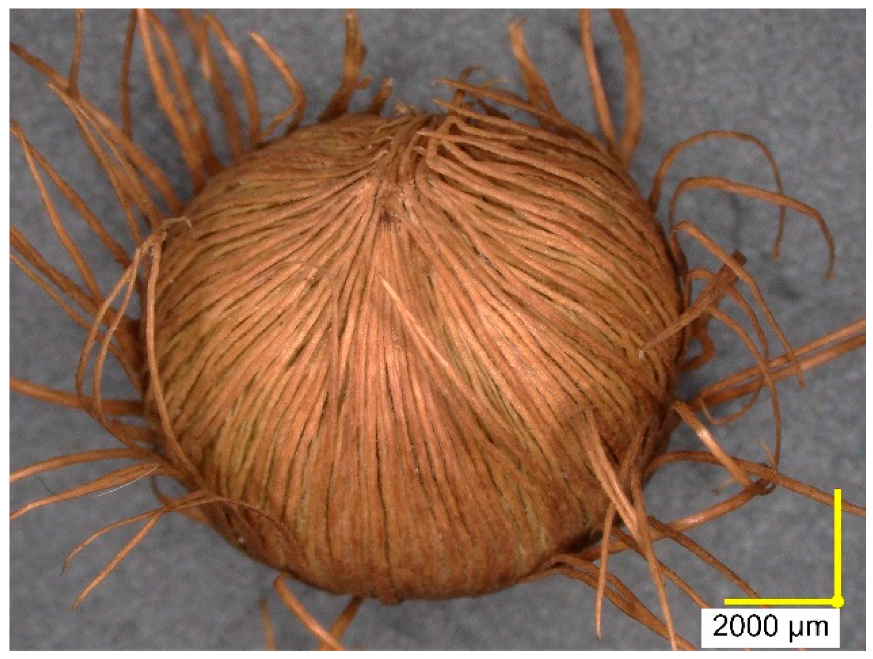 Sustainability 16 08451 g002