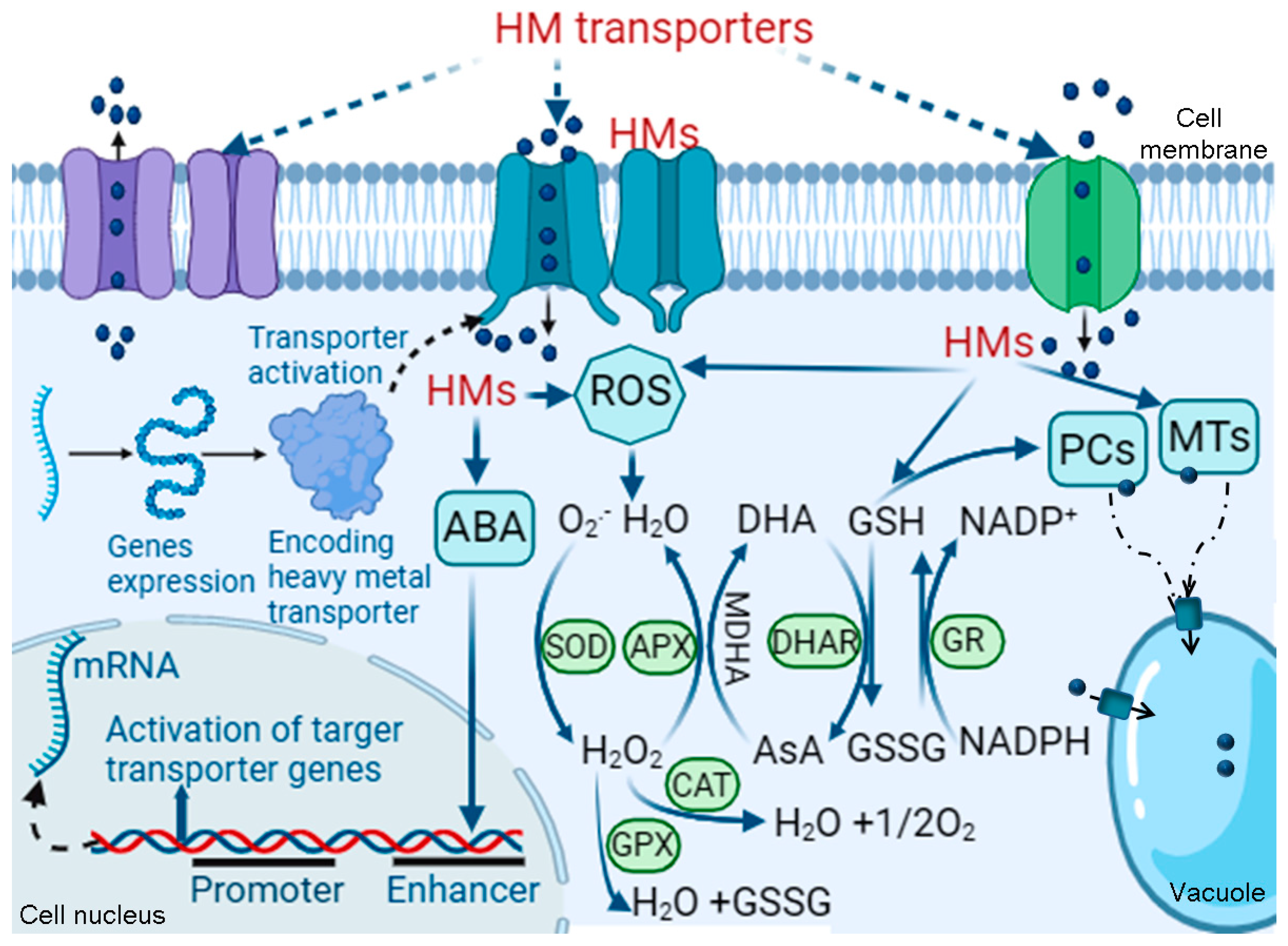 Sustainability 16 08464 g003