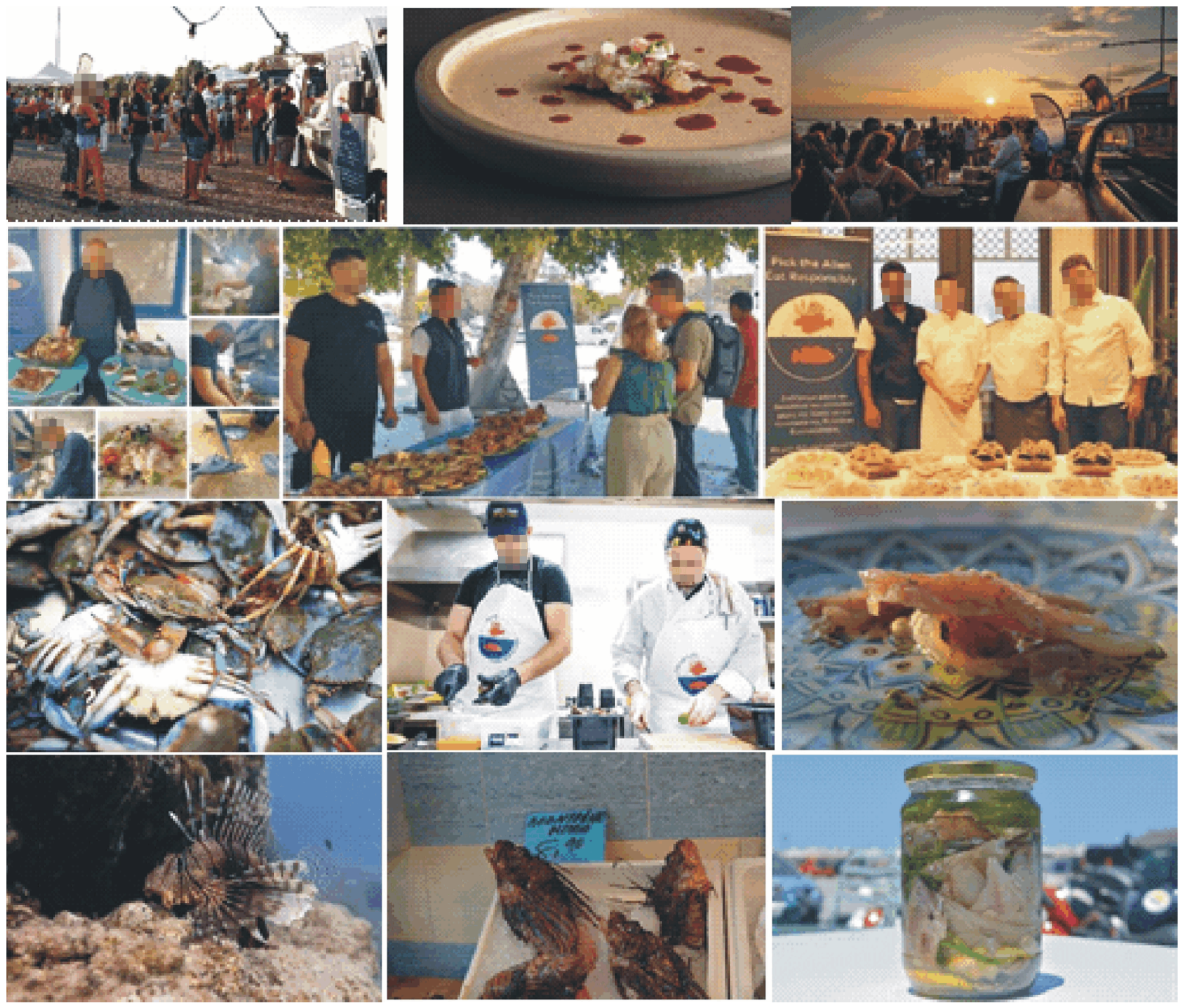 Sustainability 16 08479 g005