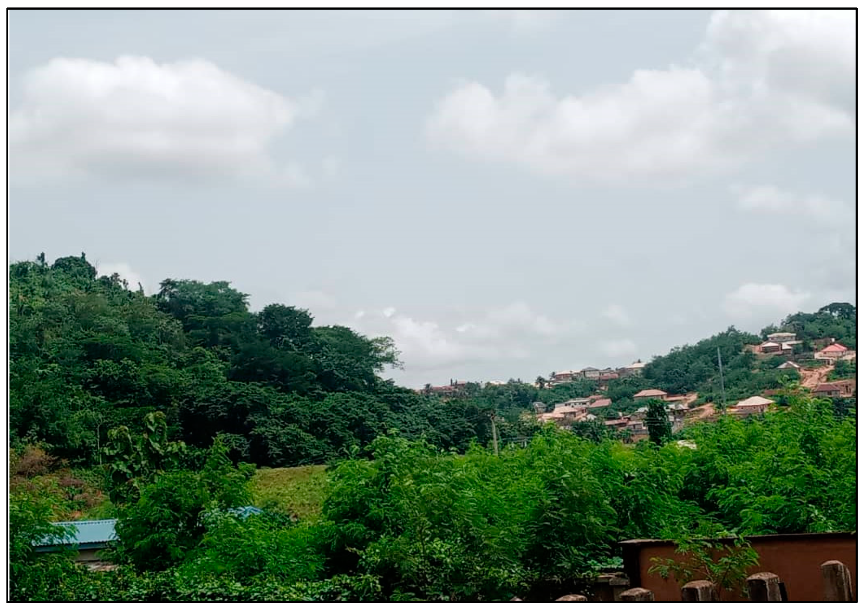 Sustainability 16 08494 g005