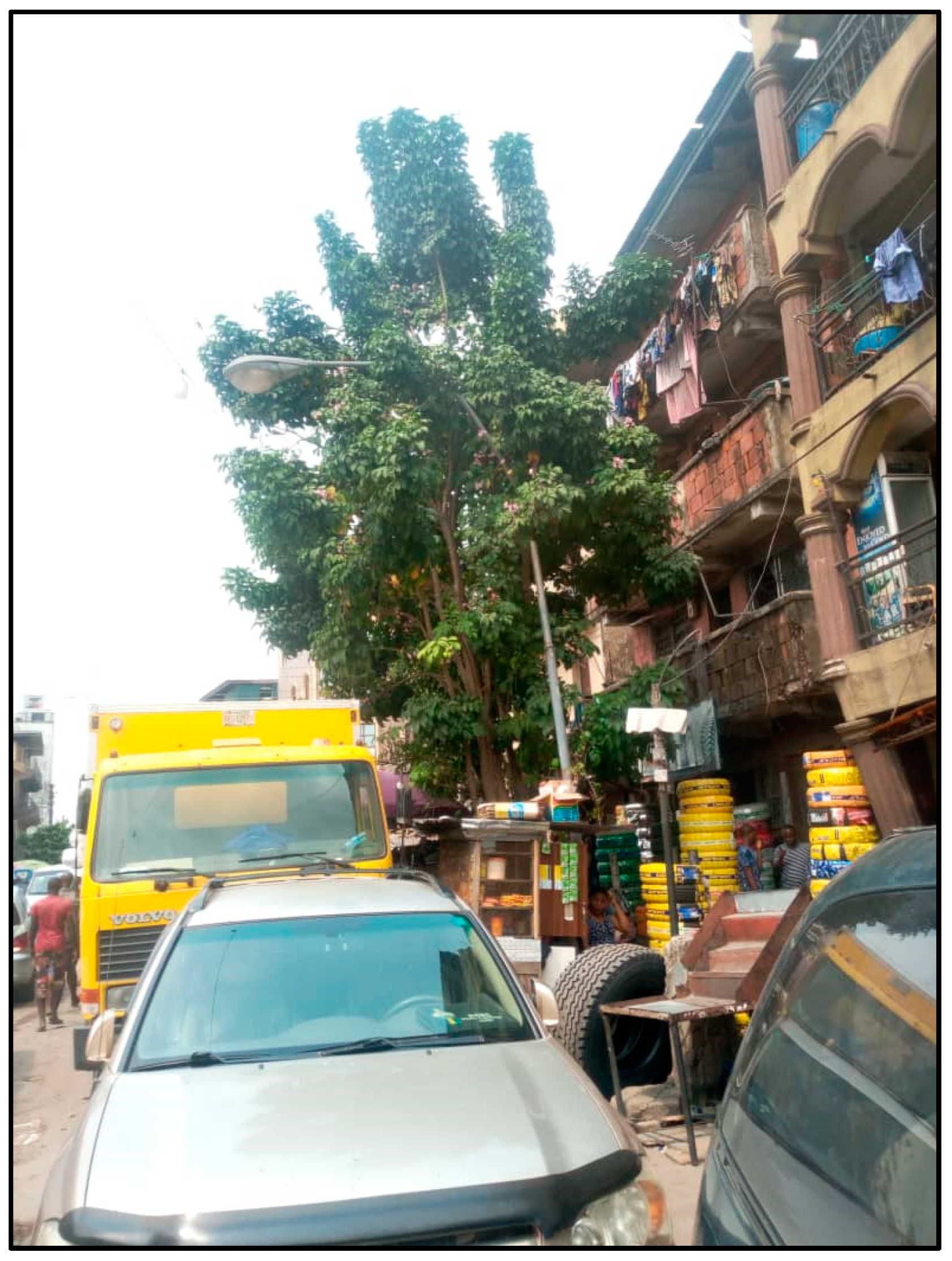 Sustainability 16 08494 g010