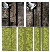 Sustainability 16 08508 i041