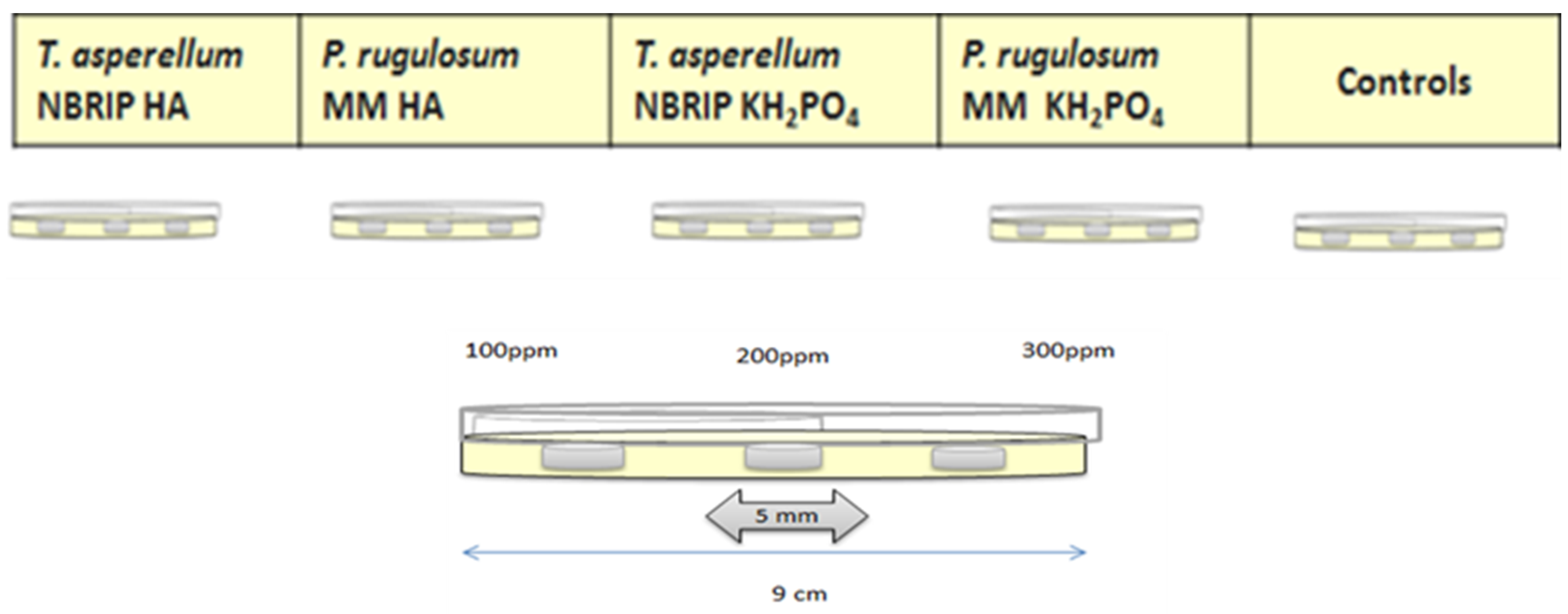 Sustainability 16 08552 g002 Sustainability 16 08552 g002