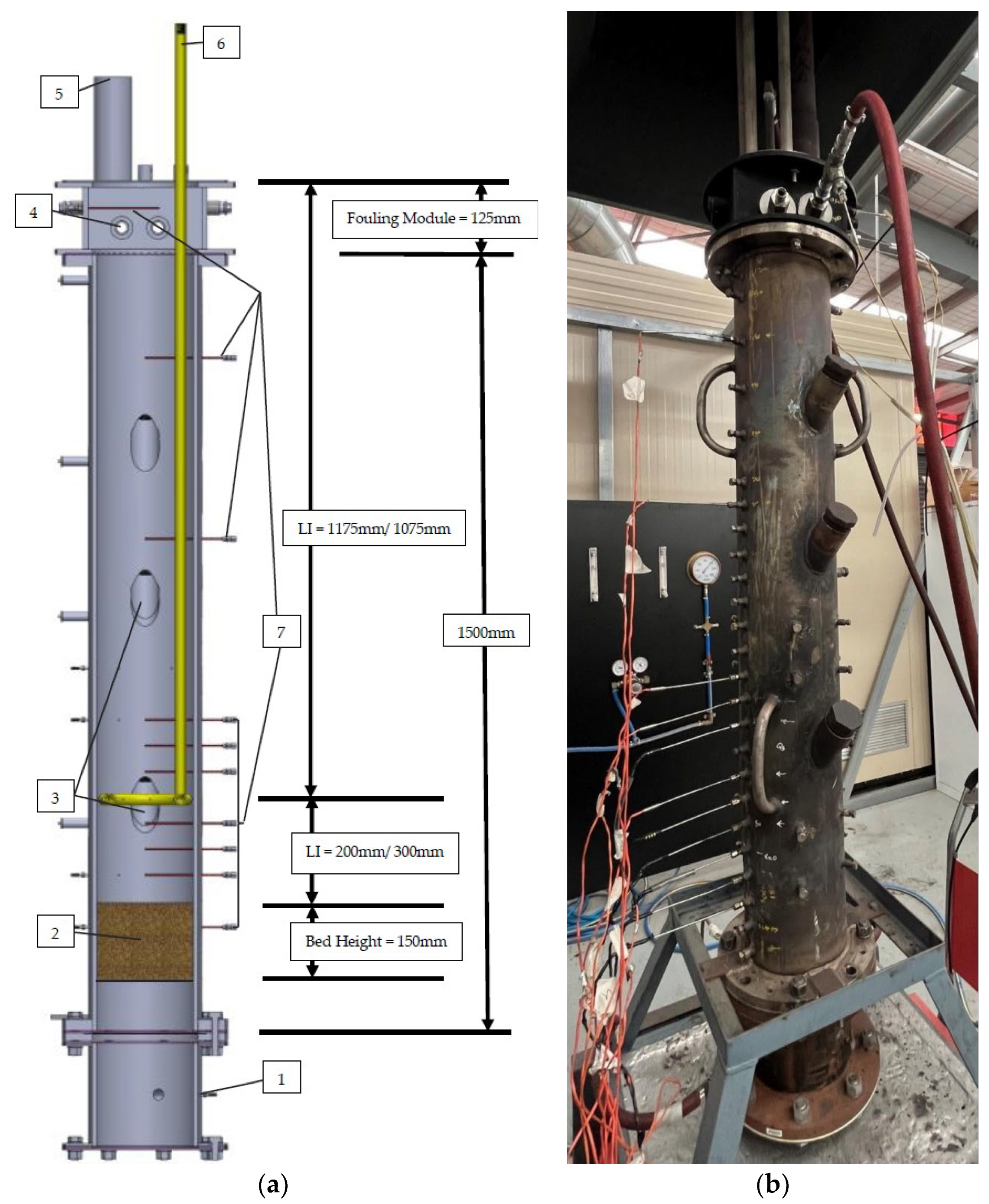 Sustainability 16 08584 g001
