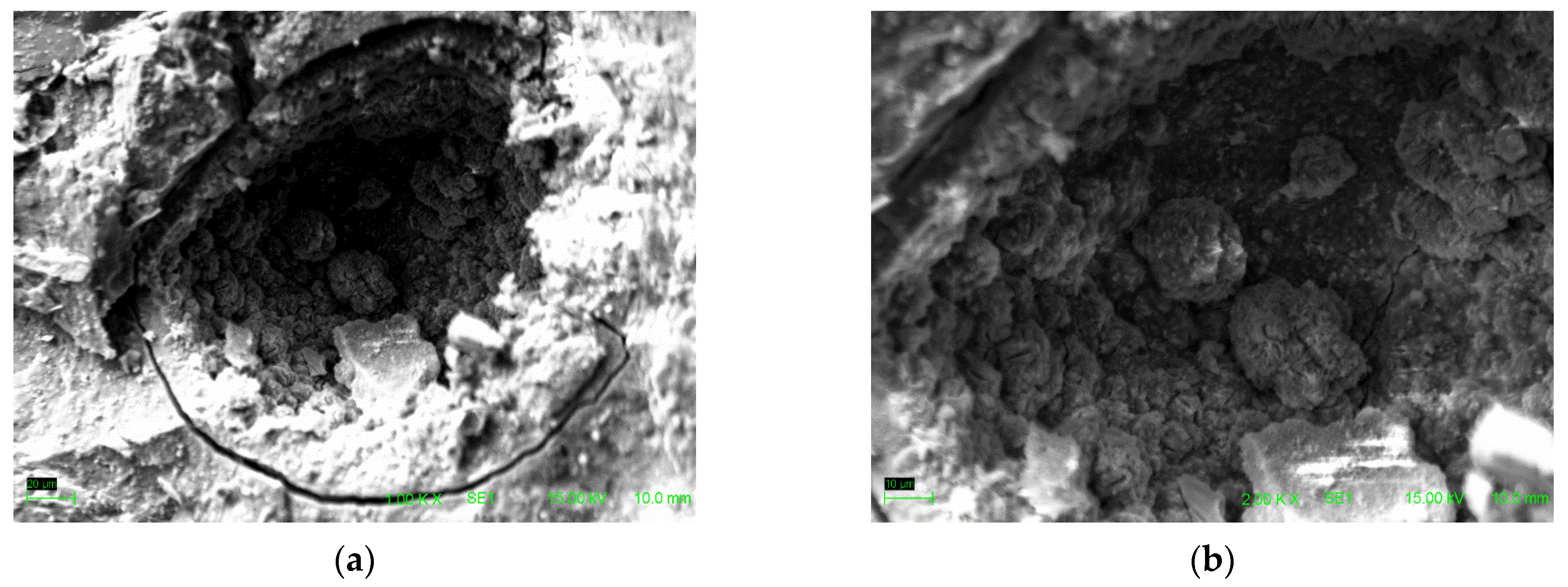 Sustainability 16 08610 g014