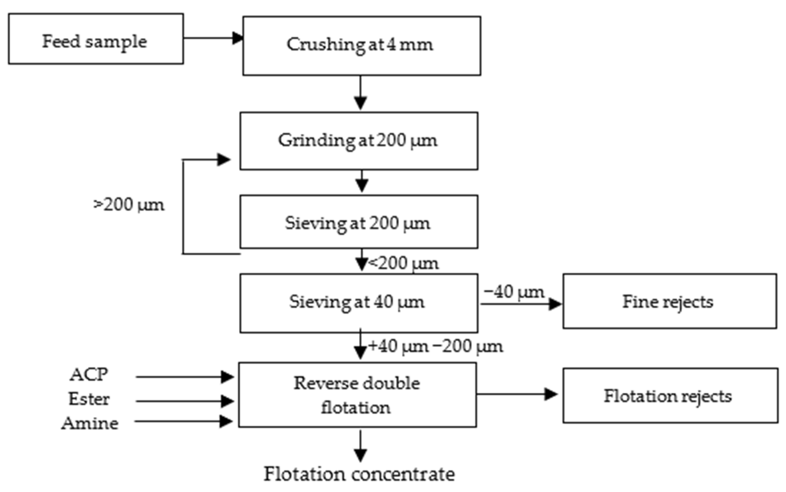 Sustainability 16 08614 g002